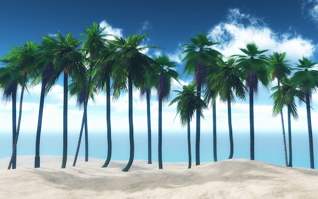 Free photo palm tree in a beach