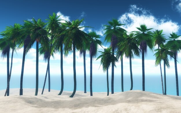 ビーチで椰子の木