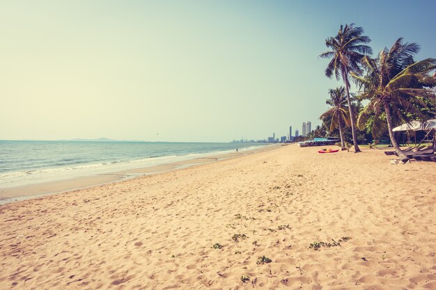 Palm tree on the beach