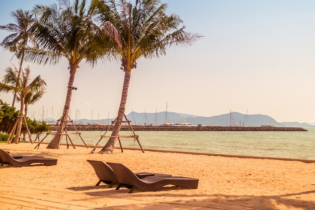 Palm tree on the beach