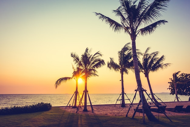 Free photo palm tree on the beach