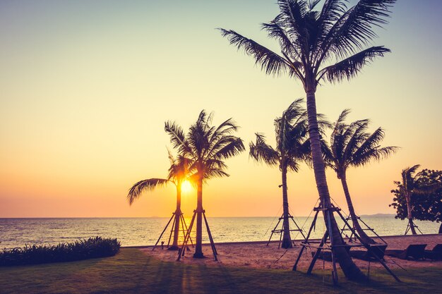 Palm tree on the beach