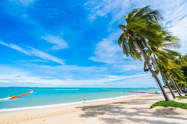 Palm tree and person in the sand