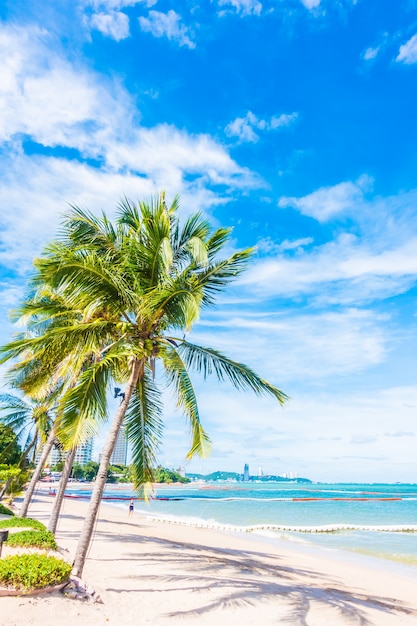 Free photo palm tree with clouds