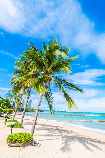 Palm trees in a beach