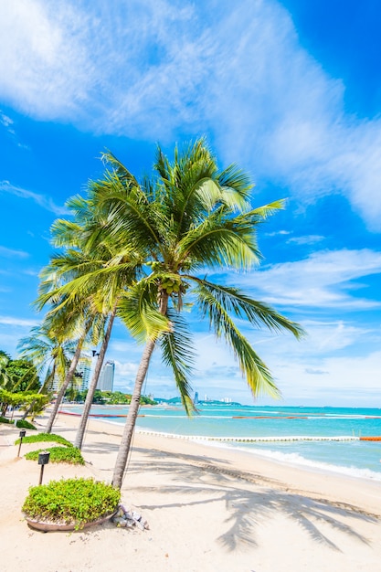 Palm trees in a beach