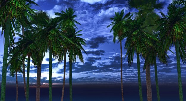Palm trees in the night
