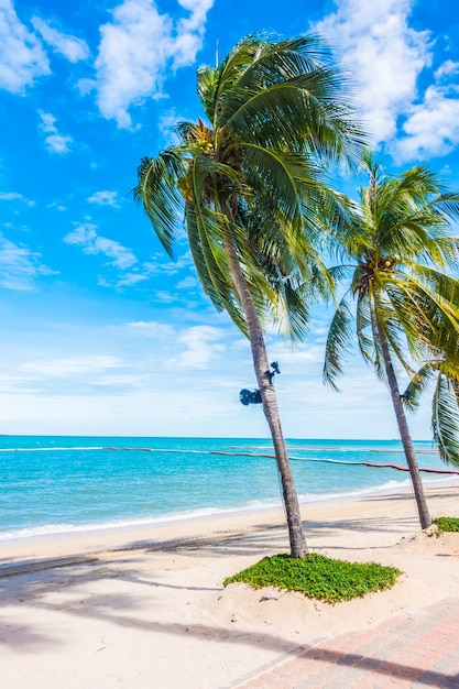 Palm trees swaying in the wind