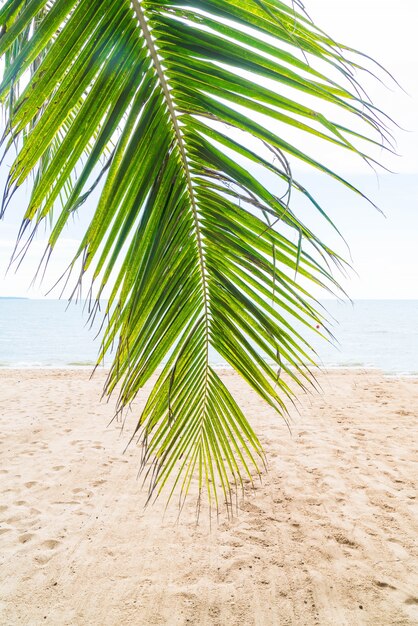 Palm and tropical beach at Pattaya in Thailand