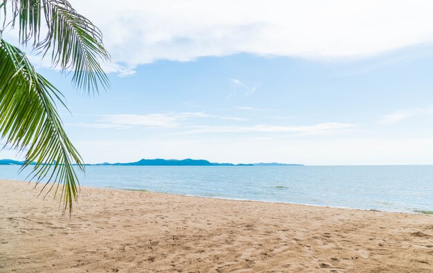 Palm and tropical beach at Pattaya in Thailand