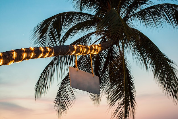 Palm with flashlights on the beach Thailand