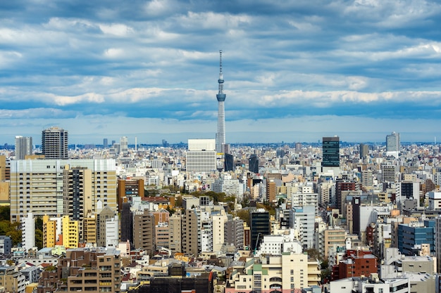 日本の東京の街並みのパノラマ。