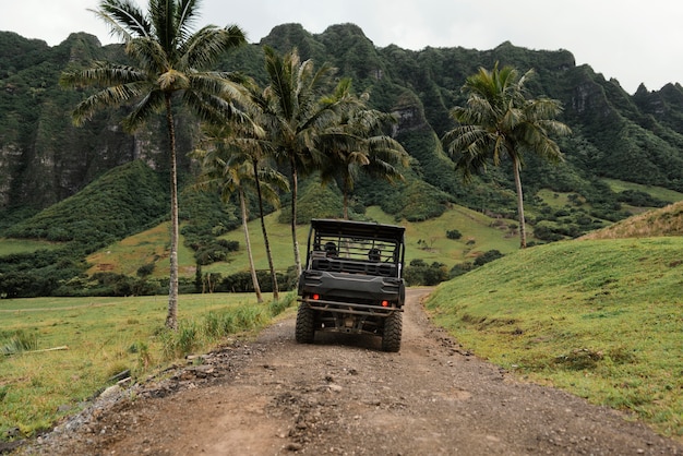 Panorama view of jeep car in hawaii