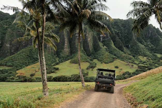 Panorama view of jeep car in hawaii