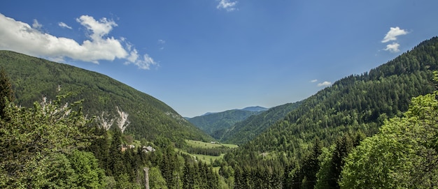 여름에 슬로베니아의 Charinthia 지역의 아름다운 풍경의 파노라마 샷