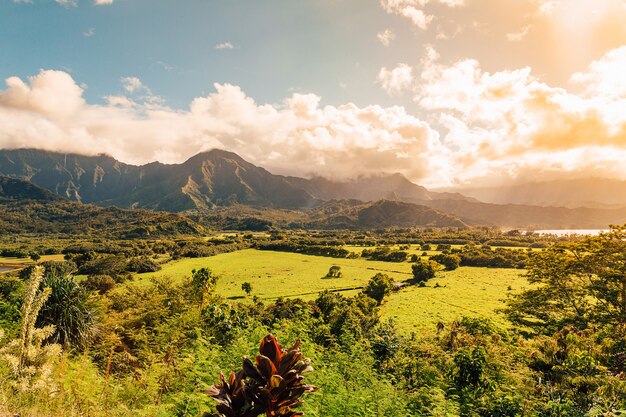 ハワイ、カウアイ島の美しい自然のパノラマ写真
