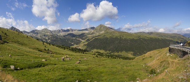 Panoramic shot of cows grazing in a field surrounded by beautiful mountains under the cloudy sky
