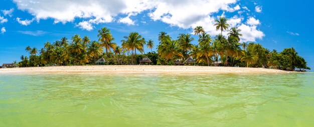 Panoramic shot of the sea and the shore covered in palm trees captured on a sunny day