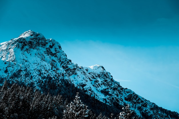 Panoramic shot of snow covered jagged mountain peak with alpine trees at the base of the mountain