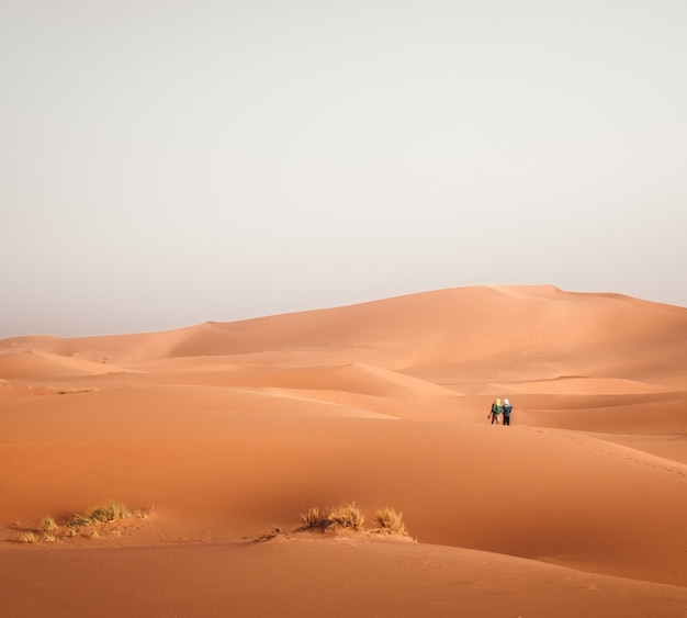 Panoramic shot of two persons standing on a deserted place