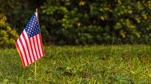 푸른 잔디에 미국 미국 국기의 전경