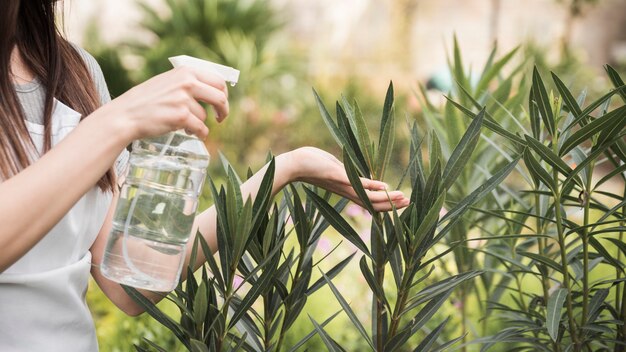 庭の新鮮な植物に水を噴霧する女性の手のパノラマビュー