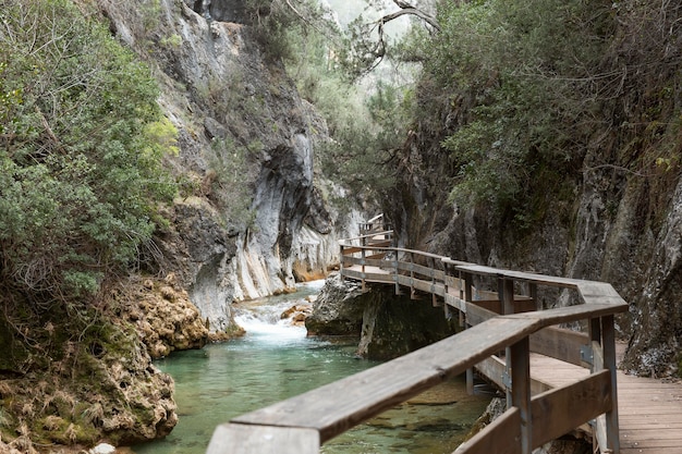 Free photo panoramic view of forest and river