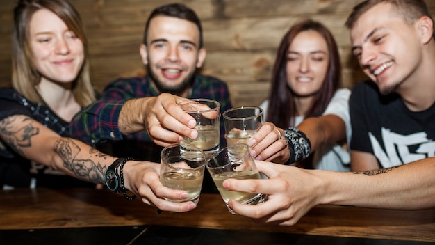 Free photo panoramic view of friends toasting alcohol drink glasses