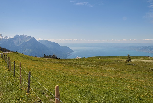 Панорамный вид на Лаво, Швейцария с забором и зеленой травой