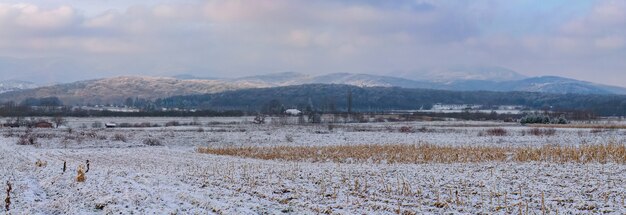 Panoramic view of the mount Medvednica covered in trees and the snow under a cloudy sky in Croatia