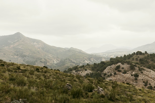 Free photo panoramic view of nature