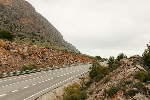 Free photo panoramic view of nature