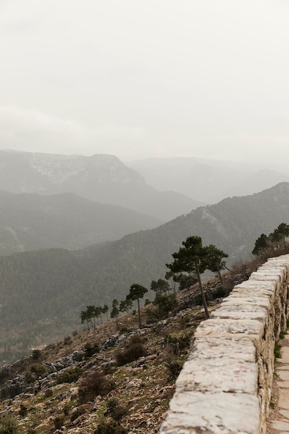 Free photo panoramic view of nature