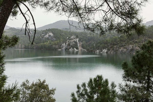 Panoramic view of nature