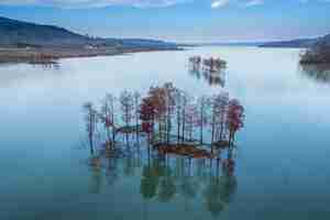 Free photo panoramic view of river