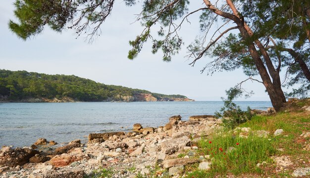 Панорамный вид на морское побережье. Мир красоты. Турция
