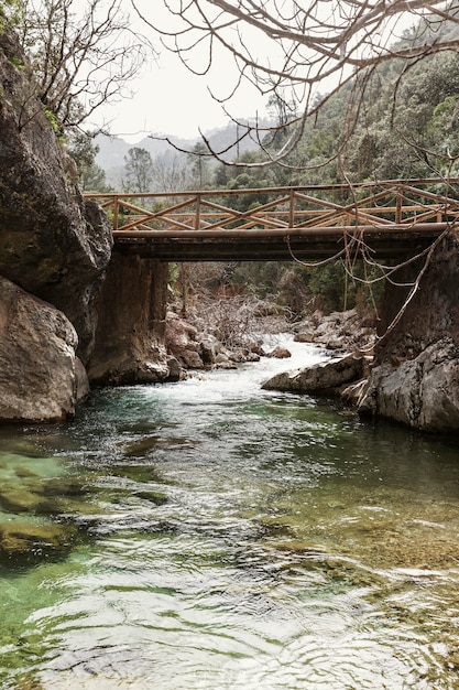 Free photo panormic view of nature