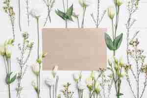 Free photo paper amidst plant composition