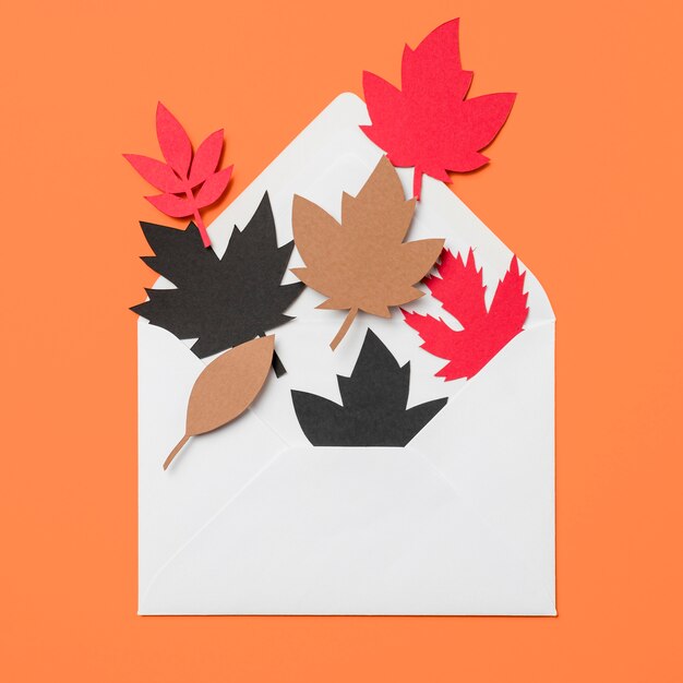 Paper autumn leaves in envelope on orange background