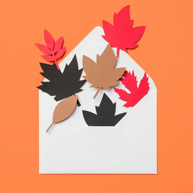 Бумажные осенние листья в конверте на оранжевом фоне