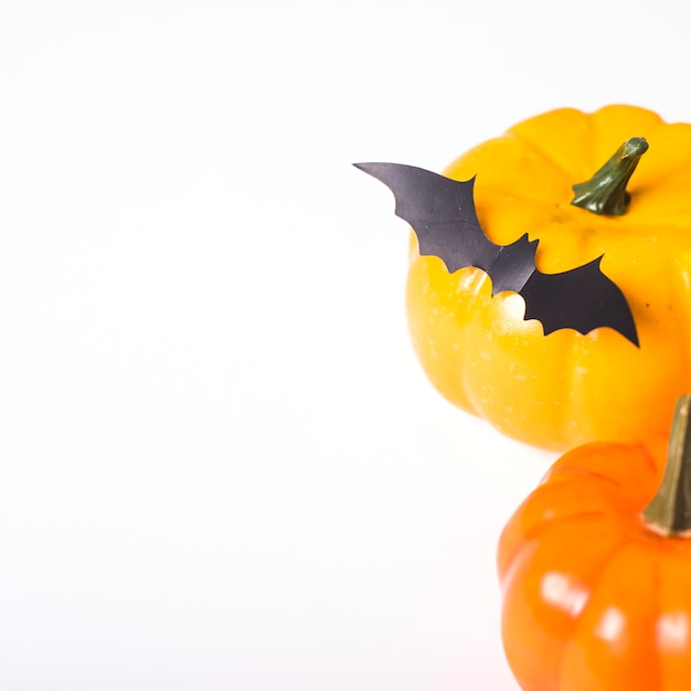 Paper bat lying on pumpkin