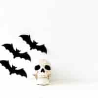 Foto gratuita pipistrelli di carta vicino al cranio