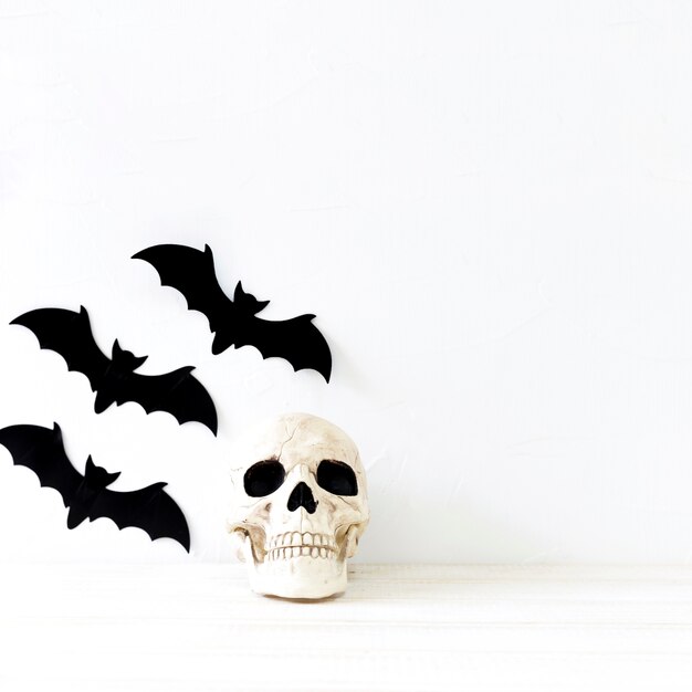 Paper bats near skull