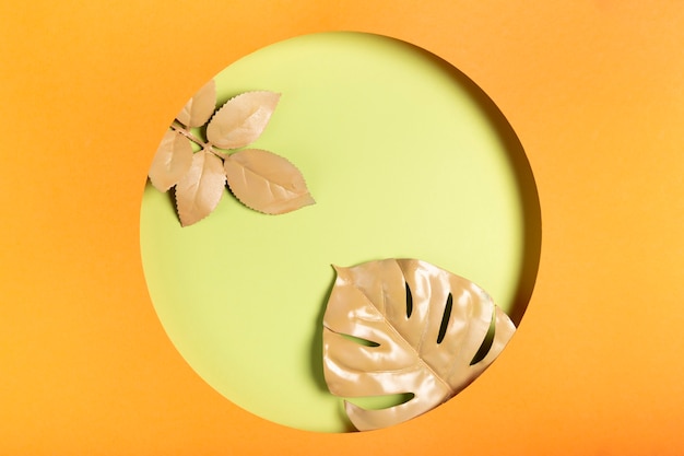 paper circle with leaves inside circle