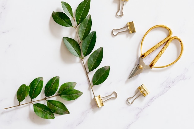 Paper clips with plants in flat lay