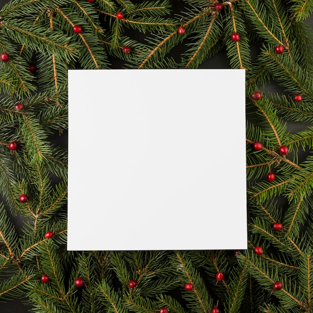 Free photo paper on composition of berries and fir branches
