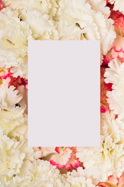 Free photo paper copy space on white carnations