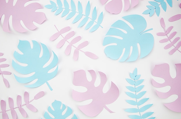 Free photo paper cut style of leaves top view