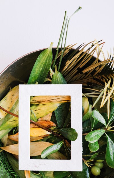 Paper frame on green leaves in pot