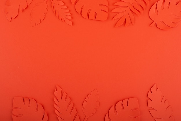 Paper leaves on coral background
